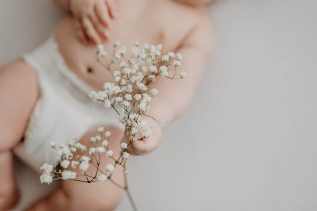infant, diaper and baby's breath